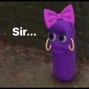 Meet your Posher, Elsa